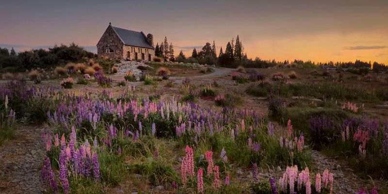 New-Zealand