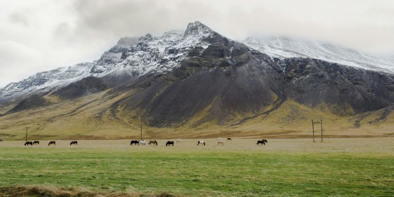 Iceland