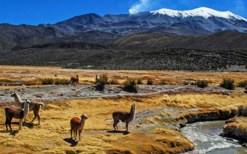 bolivia