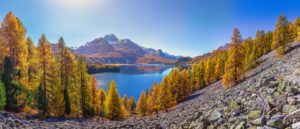 Autumn colors in Swiss forests and vineyards-top places to visit in Switzerland